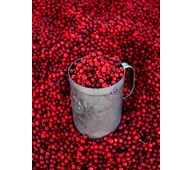 Lydabsorbent Tyttebær 90x120 cm